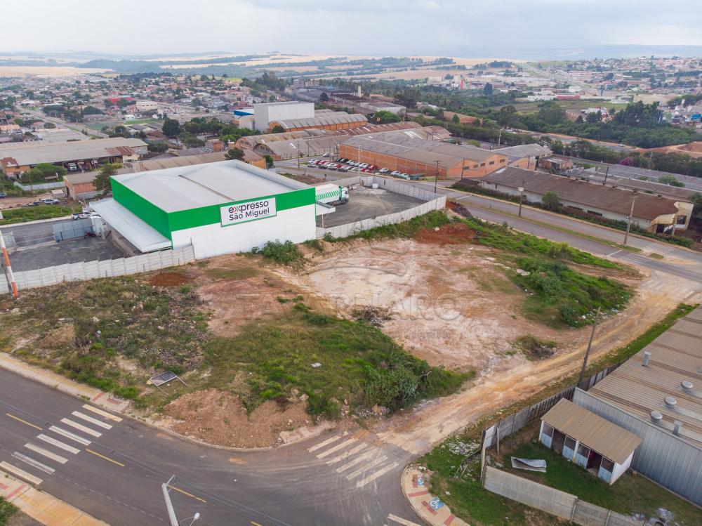 Comprar Terreno / Padrão em Ponta Grossa apenas R$ 900.000,00 - Foto 10 Comprar Terreno / Padrão em Ponta Grossa apenas R$ 900.000,00 - Foto 10