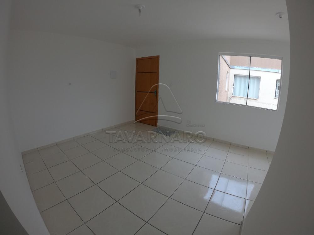 Alugar Apartamento / Padrão em Ponta Grossa R$ 600,00 - Foto 10 Alugar Apartamento / Padrão em Ponta Grossa R$ 600,00 - Foto 10
