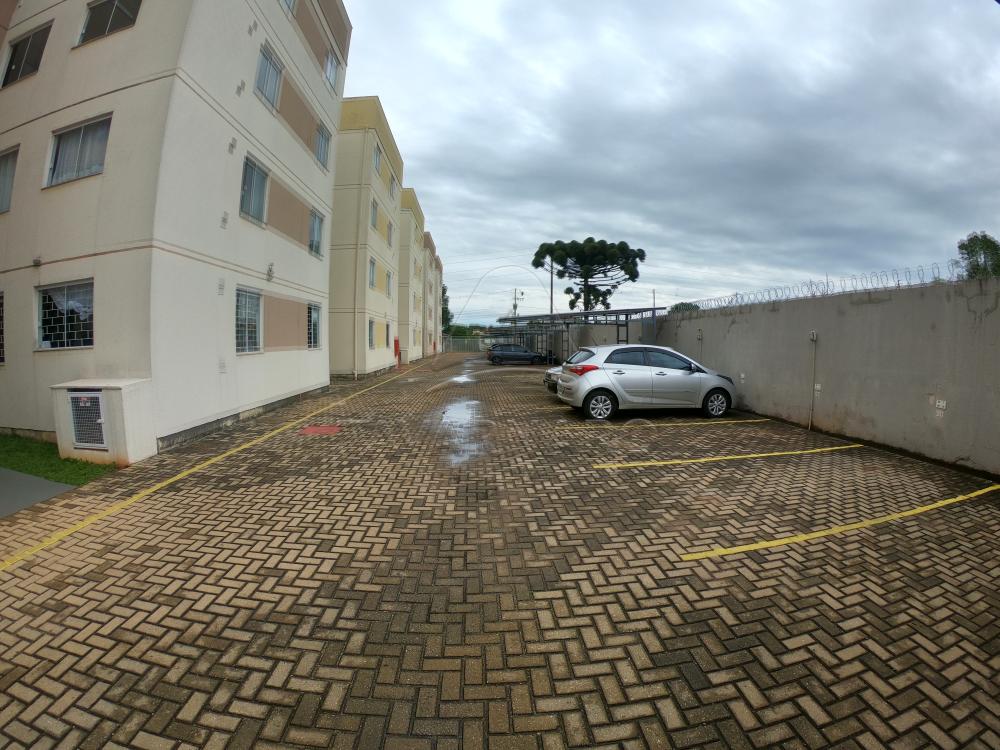 Alugar Apartamento / Padrão em Ponta Grossa R$ 600,00 - Foto 11 Alugar Apartamento / Padrão em Ponta Grossa R$ 600,00 - Foto 11
