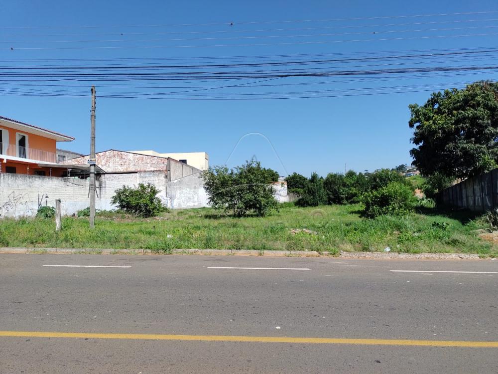 Comprar Comercial / Terreno em Ponta Grossa - Foto 1 Comprar Comercial / Terreno em Ponta Grossa - Foto 1
