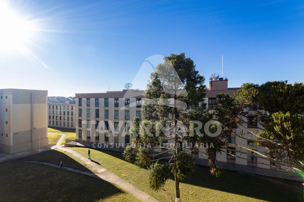 Alugar Apartamento / Padrão em Ponta Grossa R$ 600,00 - Foto 16 Alugar Apartamento / Padrão em Ponta Grossa R$ 600,00 - Foto 16