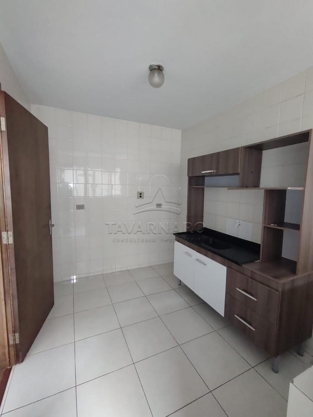 Alugar Apartamento / Padrão em Ponta Grossa R$ 750,00 - Foto 19 Alugar Apartamento / Padrão em Ponta Grossa R$ 750,00 - Foto 19