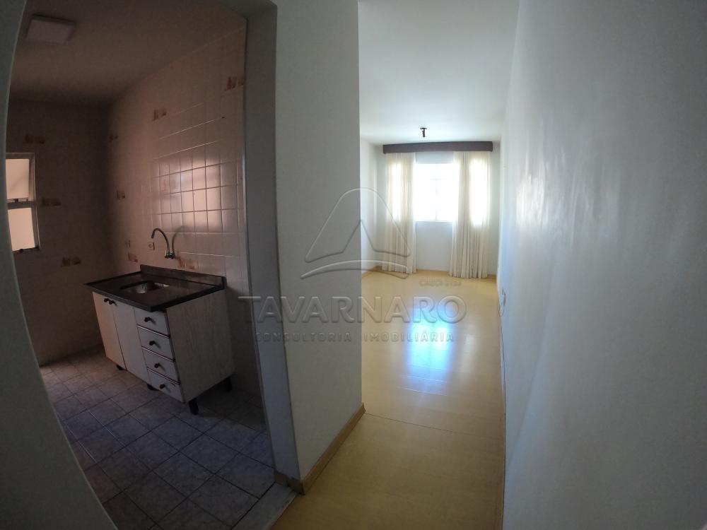 Alugar Apartamento / Padrão em Ponta Grossa R$ 700,00 - Foto 6 Alugar Apartamento / Padrão em Ponta Grossa R$ 700,00 - Foto 6