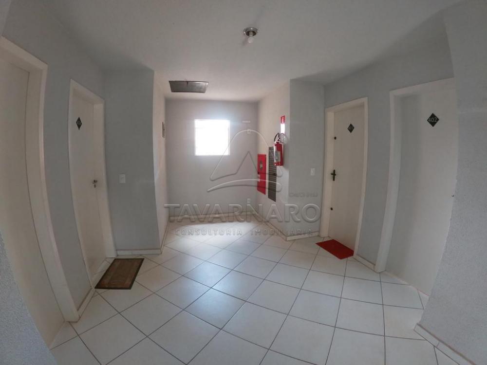 Alugar Apartamento / Padrão em Ponta Grossa apenas R$ 580,00 - Foto 4 Alugar Apartamento / Padrão em Ponta Grossa apenas R$ 580,00 - Foto 4