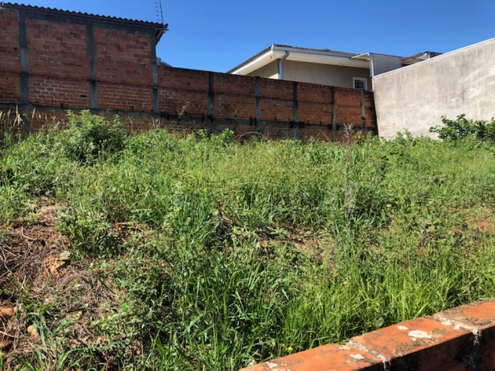Comprar Casa / Padrão em Ponta Grossa R$ 300.000,00 - Foto 25 Comprar Casa / Padrão em Ponta Grossa R$ 300.000,00 - Foto 25