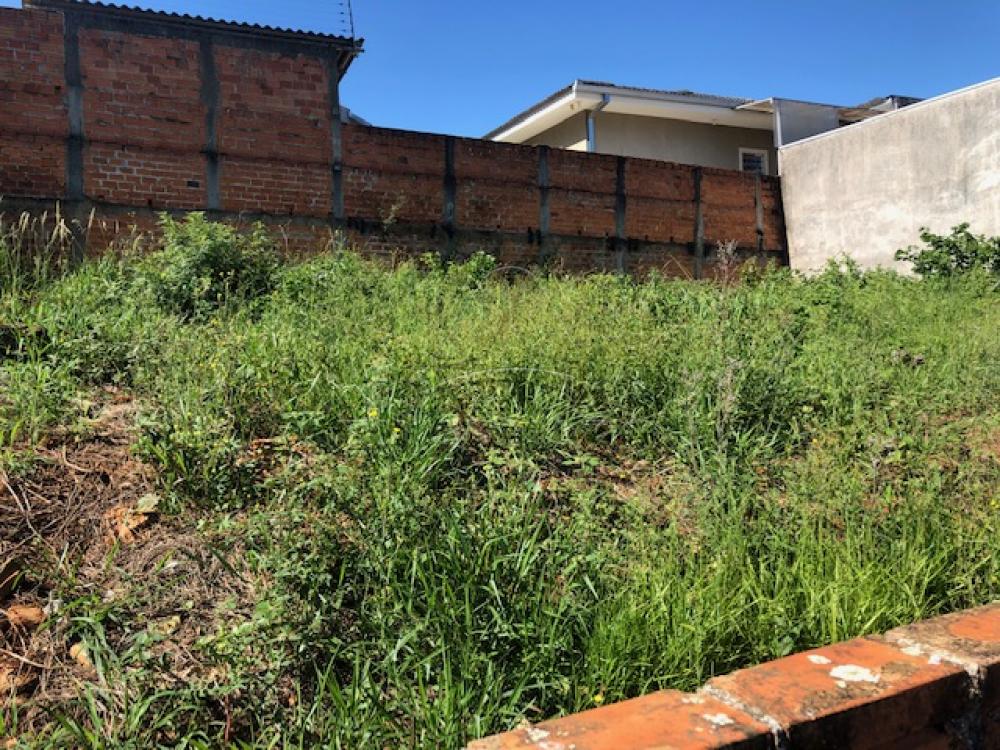 Comprar Casa / Padrão em Ponta Grossa R$ 300.000,00 - Foto 26 Comprar Casa / Padrão em Ponta Grossa R$ 300.000,00 - Foto 26