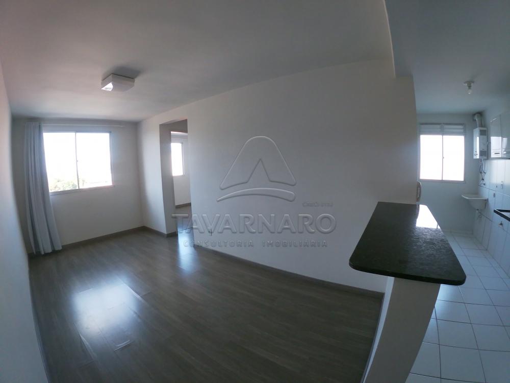 Alugar Apartamento / Padrão em Ponta Grossa R$ 550,00 - Foto 5 Alugar Apartamento / Padrão em Ponta Grossa R$ 550,00 - Foto 5
