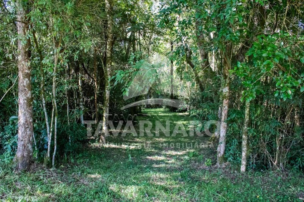 Comprar Terreno / Condomínio em Ponta Grossa R$ 115.010,00 - Foto 3 Comprar Terreno / Condomínio em Ponta Grossa R$ 115.010,00 - Foto 3