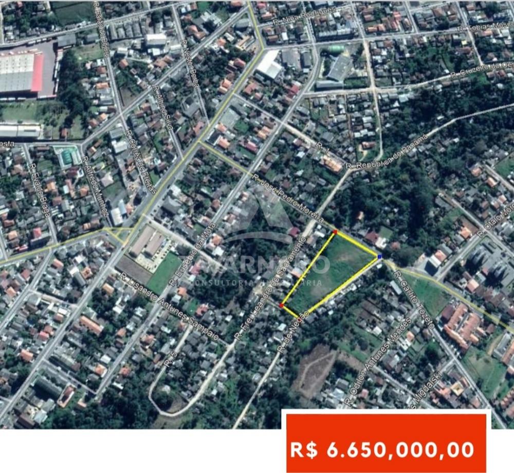 Comprar Terreno / Área em Ponta Grossa R$ 6.650.000,00 - Foto 1