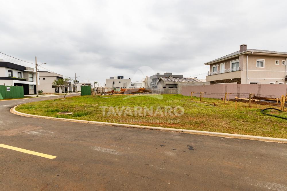 Comprar Terreno / Condomínio em Ponta Grossa R$ 250.000,00 - Foto 6
