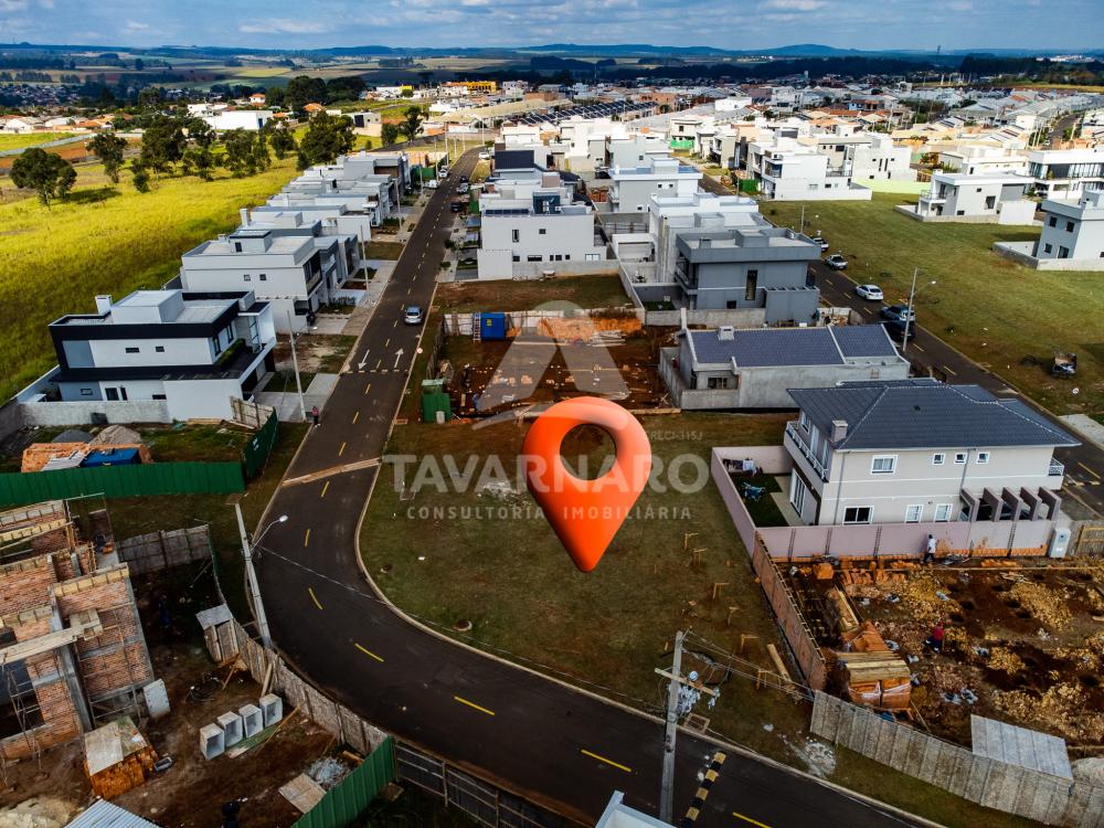 Comprar Terreno / Condomínio em Ponta Grossa R$ 250.000,00 - Foto 9