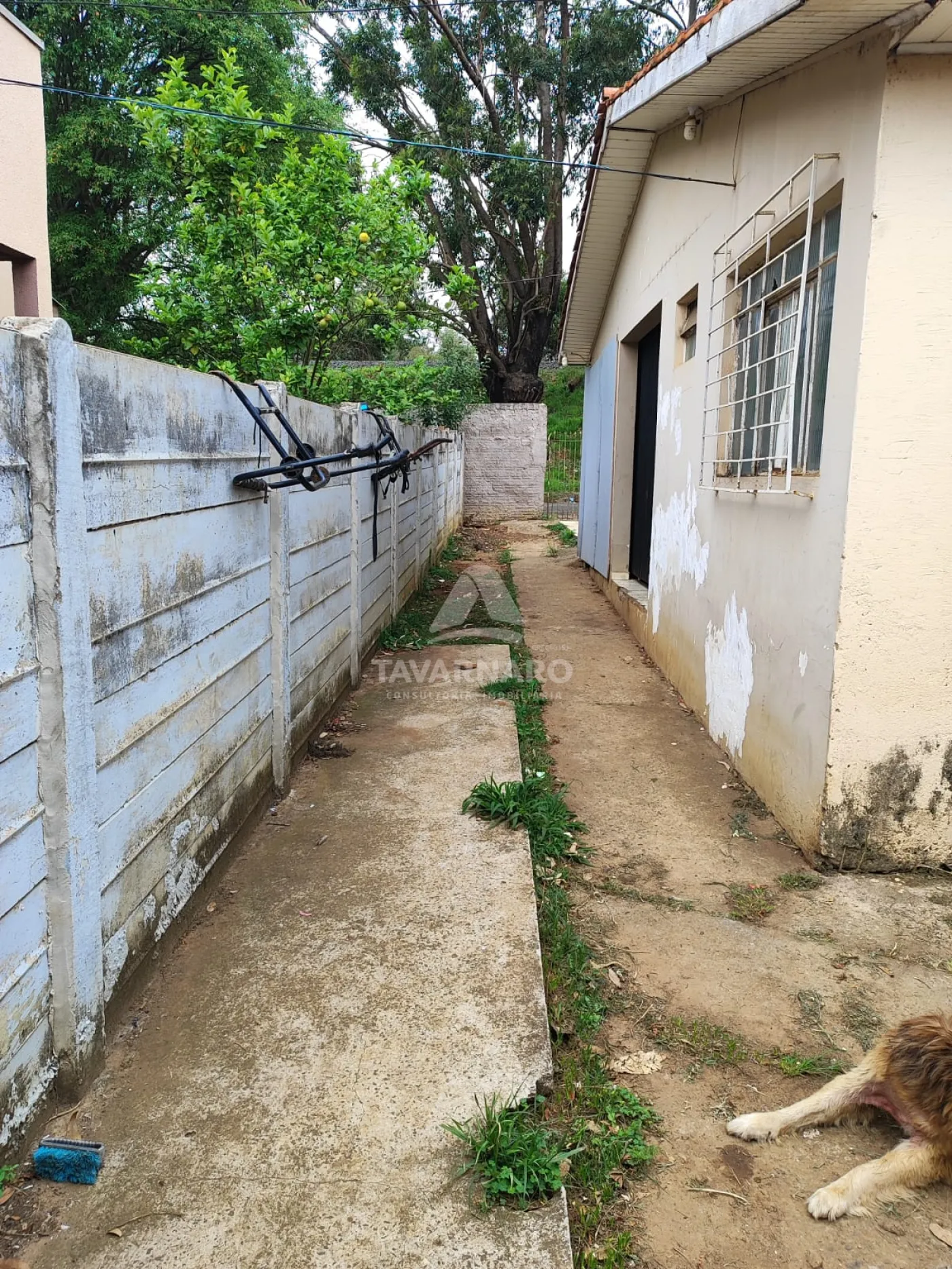 Comprar Casa / Padrão em Ponta Grossa R$ 440.000,00 - Foto 36