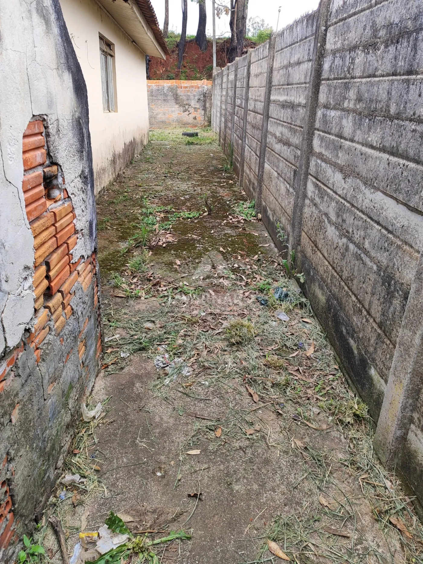 Comprar Casa / Padrão em Ponta Grossa R$ 440.000,00 - Foto 34