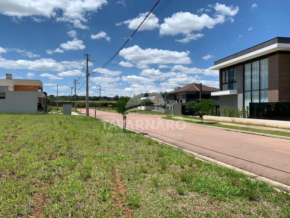 Comprar Terreno / Condomínio em Ponta Grossa R$ 238.000,00 - Foto 5