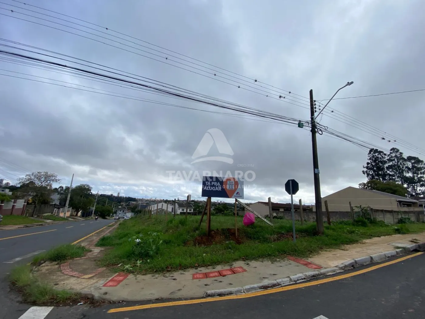 Comprar Terreno / Padrão em Ponta Grossa - Foto 14