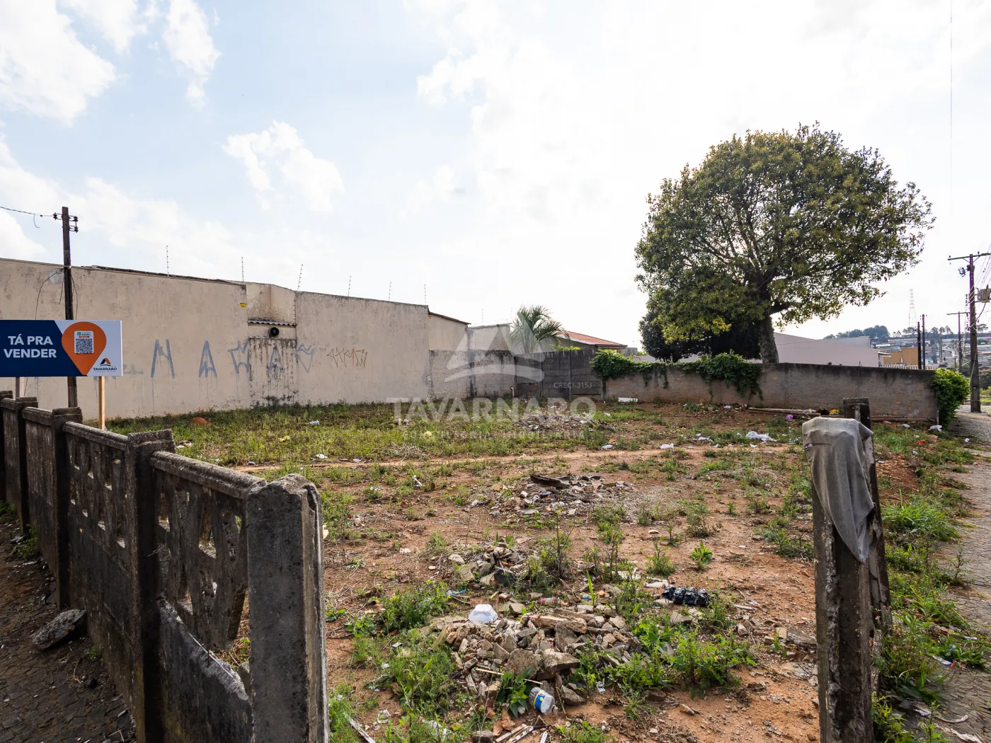 Alugar Comercial / Terreno em Ponta Grossa R$ 1.650,00 - Foto 12