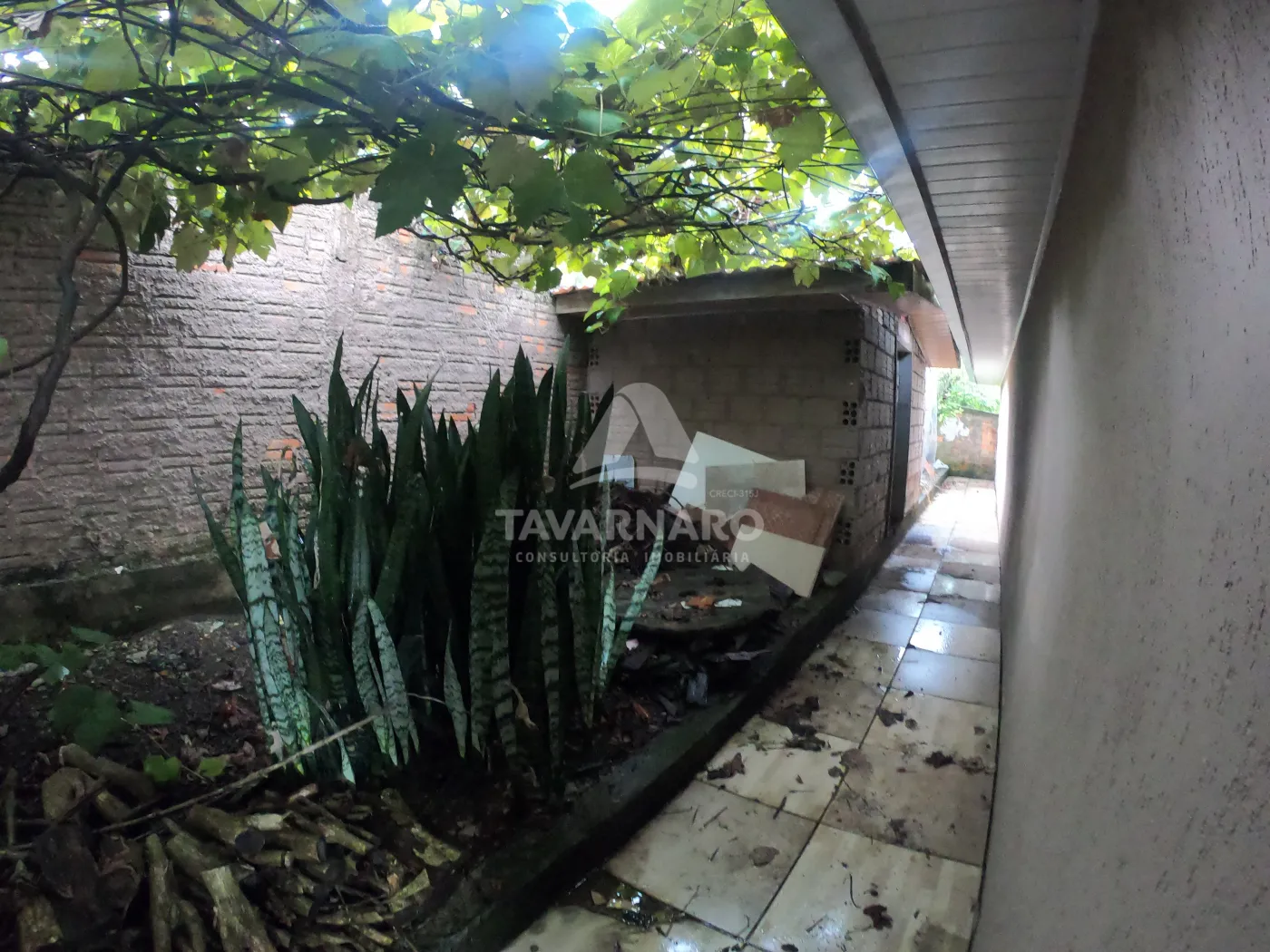 Alugar Casa / Padrão em Ponta Grossa R$ 11,11 - Foto 37