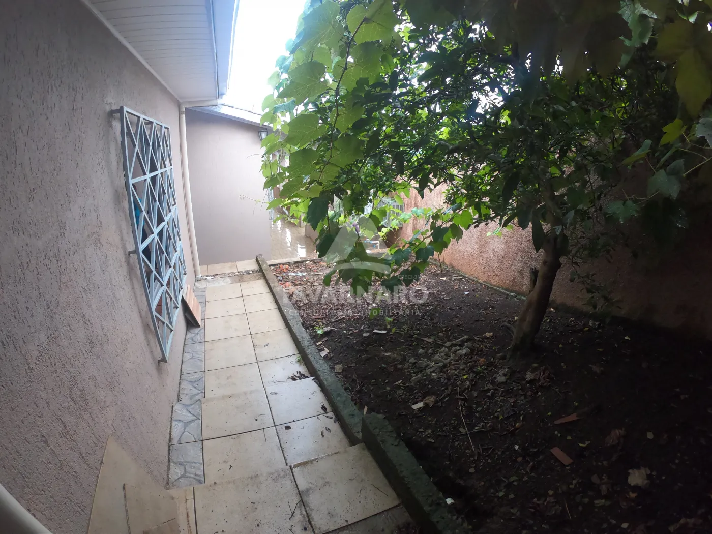 Alugar Casa / Padrão em Ponta Grossa R$ 11,11 - Foto 39