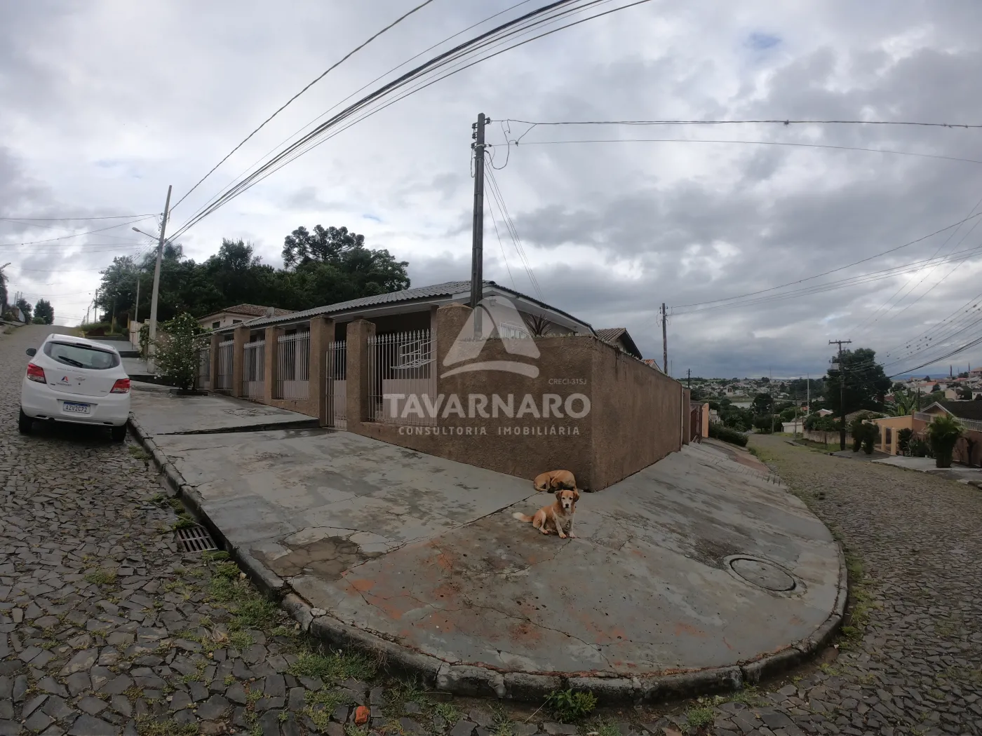 Alugar Casa / Padrão em Ponta Grossa R$ 11,11 - Foto 44