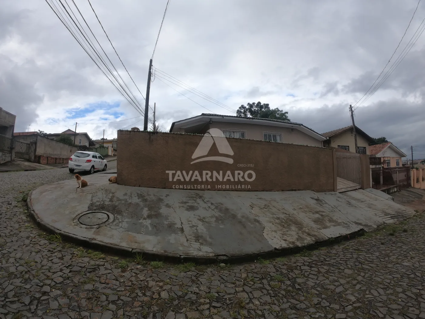 Alugar Casa / Padrão em Ponta Grossa R$ 11,11 - Foto 45