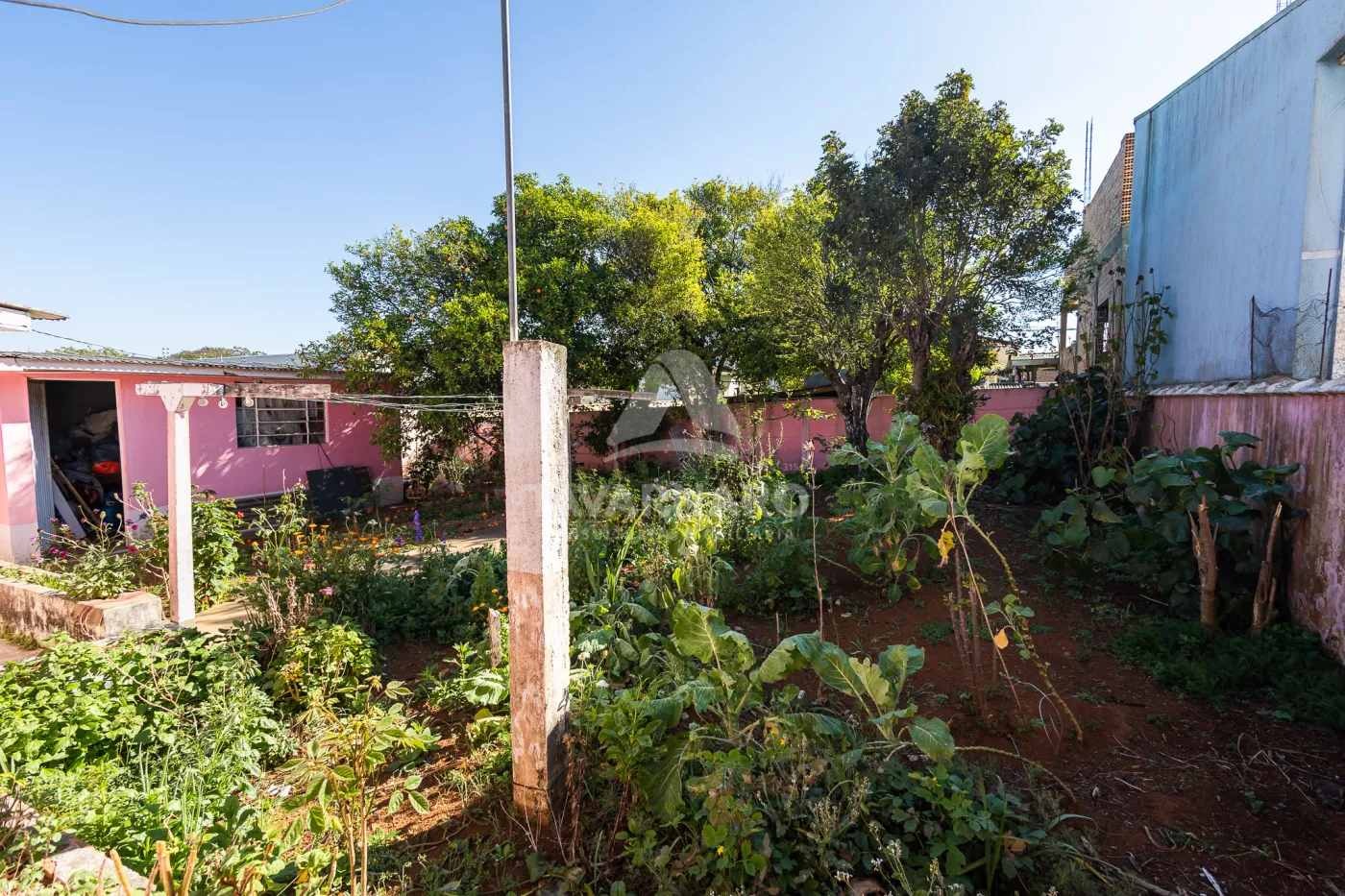 Comprar Casa / Padrão em Ponta Grossa R$ 320.000,00 - Foto 24