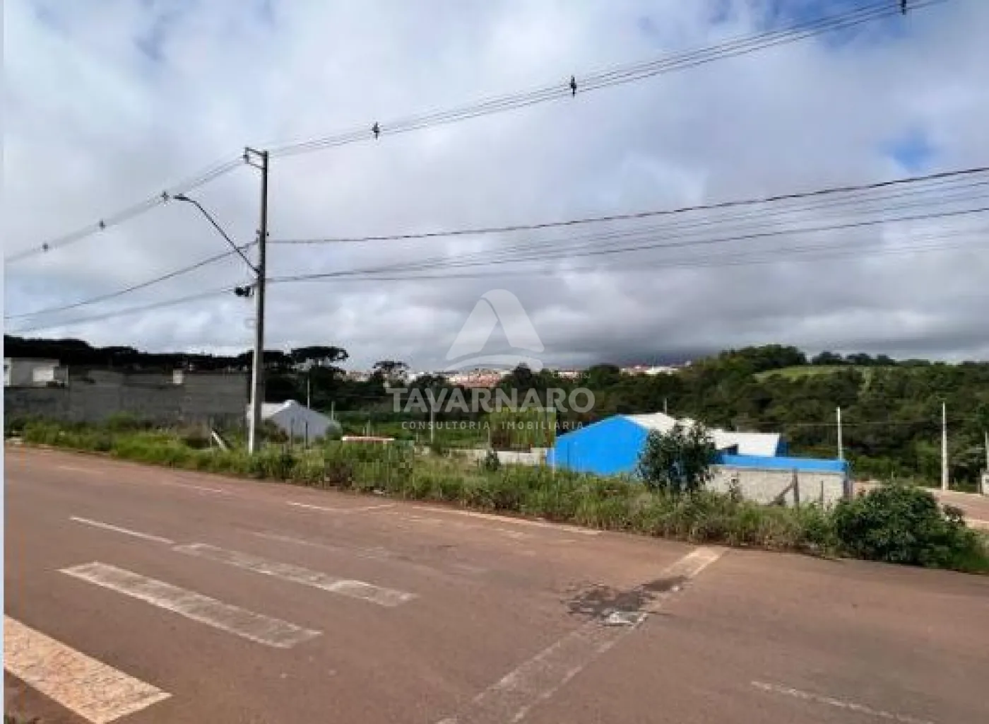 Comprar Terreno / Padrão em Ponta Grossa R$ 250.000,00 - Foto 1