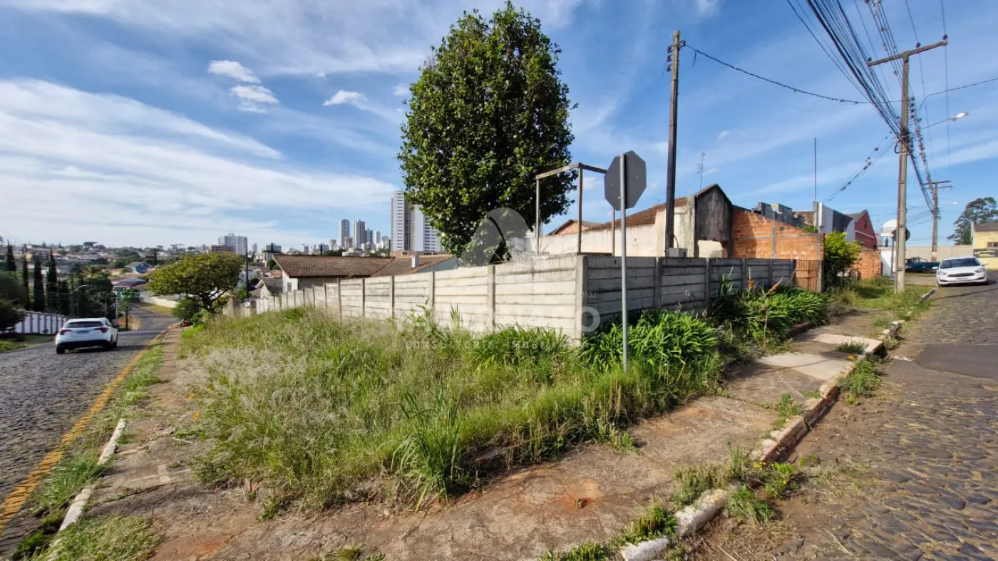 Comprar Comercial / Terreno em Ponta Grossa - Foto 3