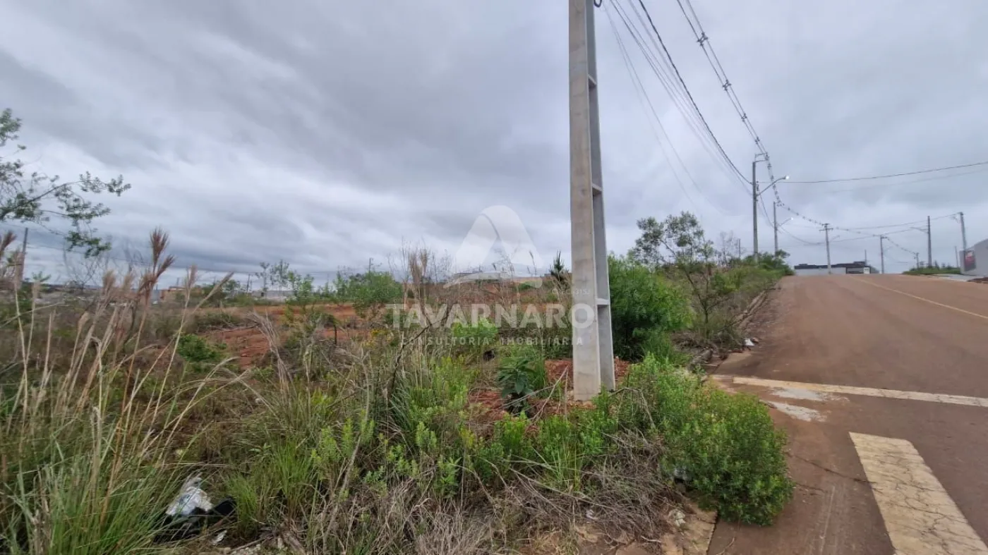 Comprar Terreno / Padrão em Ponta Grossa - Foto 3
