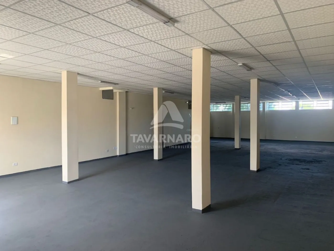 Alugar Comercial / Loja em Ponta Grossa R$ 3.000,00 - Foto 3
