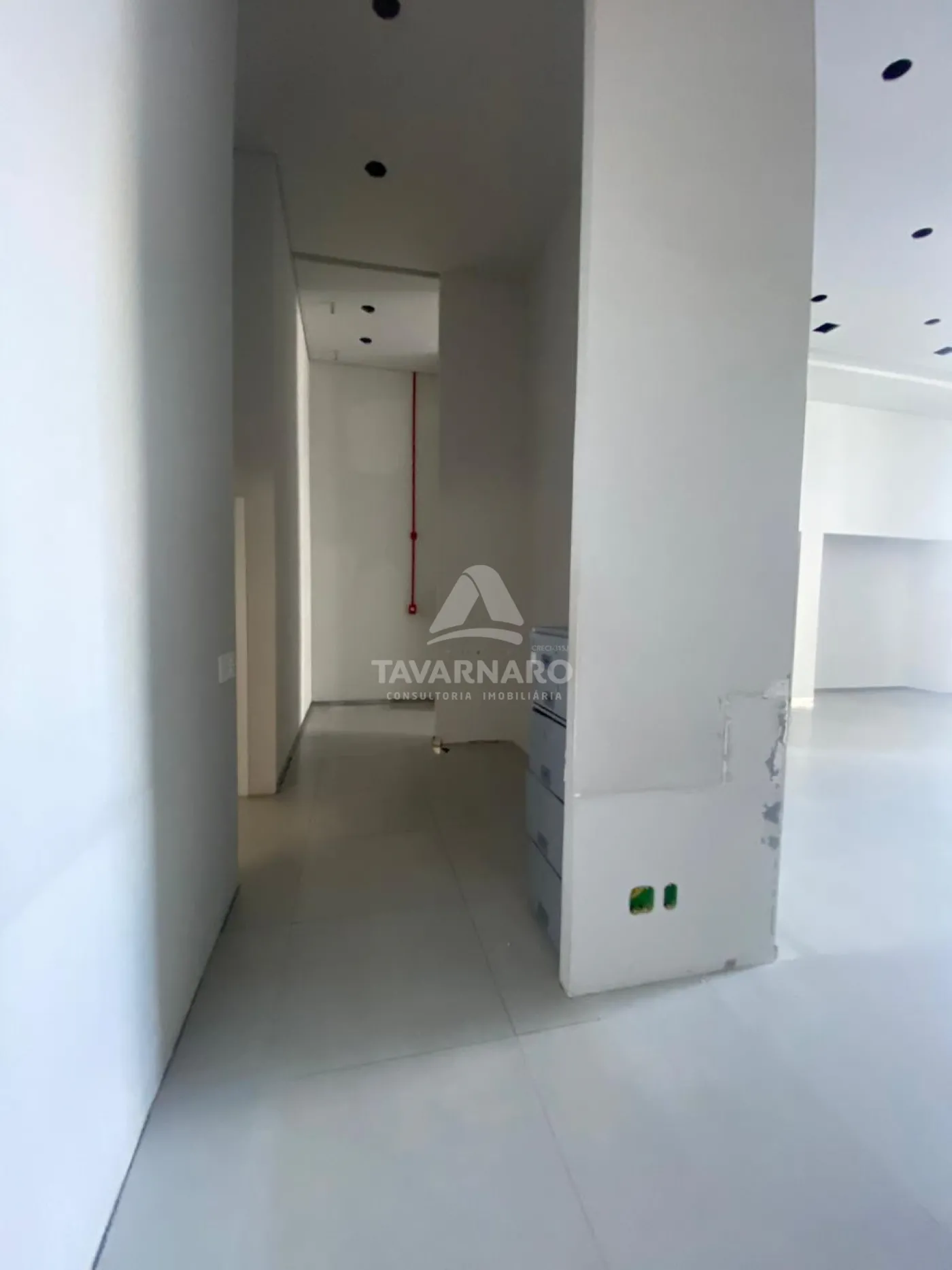 Alugar Comercial / Loja em Ponta Grossa R$ 9.500,00 - Foto 5