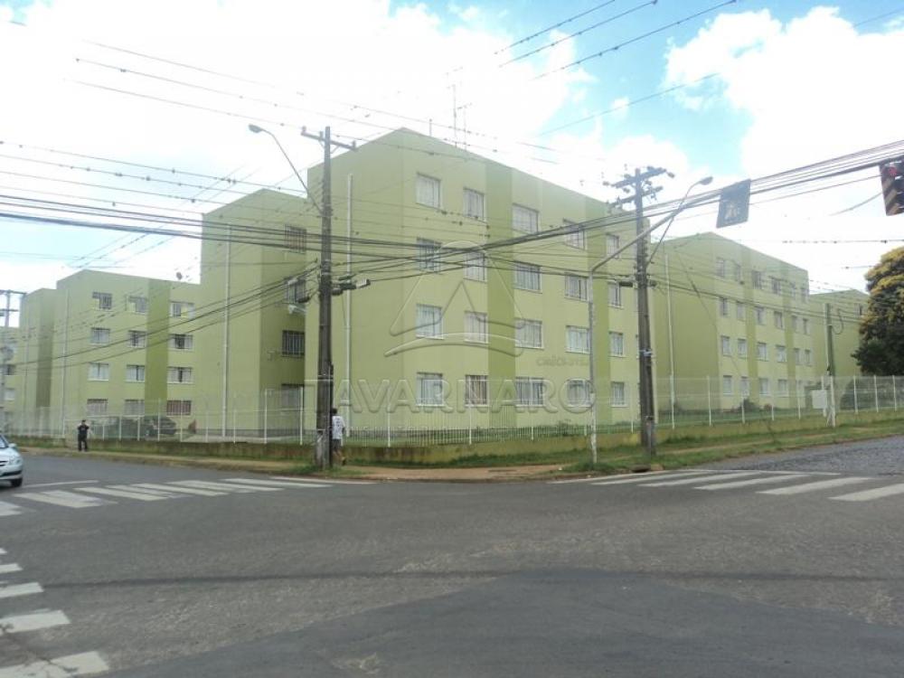 Alugar Apartamento / Padrão em Ponta Grossa R$ 500,00 - Foto 16 Alugar Apartamento / Padrão em Ponta Grossa R$ 500,00 - Foto 16