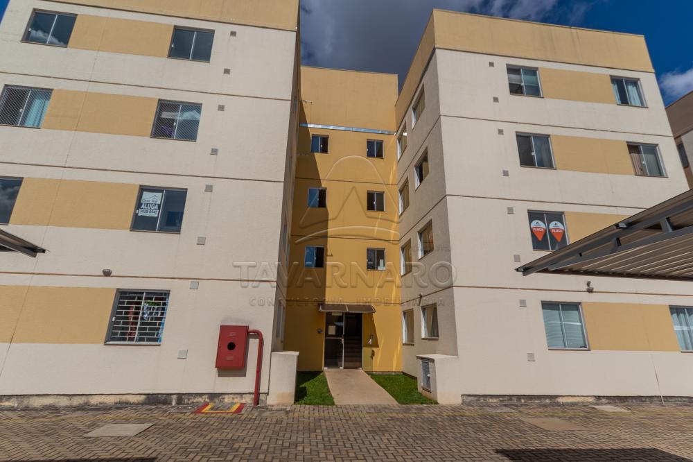 Alugar Apartamento / Padrão em Ponta Grossa R$ 600,00 - Foto 17 Alugar Apartamento / Padrão em Ponta Grossa R$ 600,00 - Foto 17