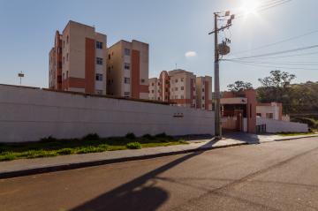 Alugar Apartamento / Padrão em Ponta Grossa R$ 800,00 - Foto 16 Alugar Apartamento / Padrão em Ponta Grossa R$ 800,00 - Foto 16