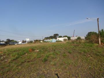 Alugar Terreno / Padrão em Ponta Grossa.