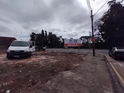 Alugar Terreno / Padrão em Ponta Grossa. apenas R$ 1,00