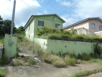 Alugar Terreno / Padrão em Ponta Grossa.