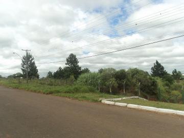 imagem 1 - Terreno - Padrão imagem 1 - Terreno - Padrão