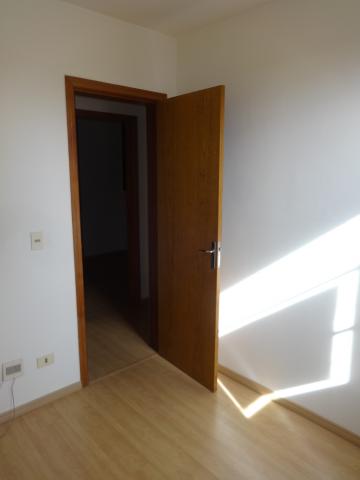Alugar Apartamento / Padrão em Ponta Grossa R$ 700,00 - Foto 11 Alugar Apartamento / Padrão em Ponta Grossa R$ 700,00 - Foto 11