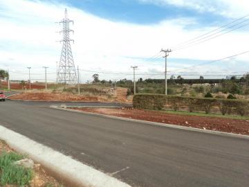 Alugar Terreno / Padrão em Ponta Grossa. apenas R$ 1,00