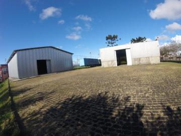 Alugar Comercial / Barracão em Ponta Grossa. apenas R$ 25.000,00