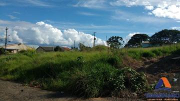 Alugar Terreno / Padrão em Ponta Grossa. apenas R$ 1.600,00