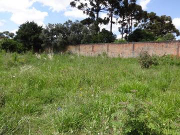 Alugar Terreno / Padrão em Ponta Grossa. apenas R$ 500,00