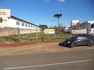 Alugar Terreno / Padrão em Ponta Grossa.