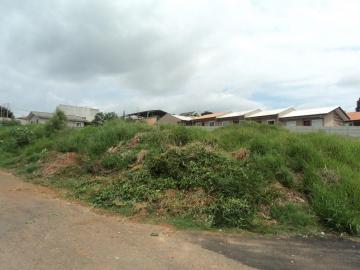 Alugar Terreno / Padrão em Ponta Grossa. apenas R$ 990,00