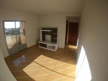 Alugar Apartamento / Padrão em Ponta Grossa. apenas R$ 665,00