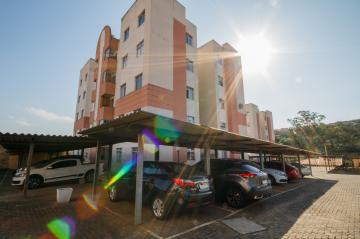 Alugar Apartamento / Padrão em Ponta Grossa R$ 800,00 - Foto 14 Alugar Apartamento / Padrão em Ponta Grossa R$ 800,00 - Foto 14