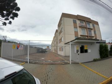Alugar Apartamento / Padrão em Ponta Grossa R$ 600,00 - Foto 15 Alugar Apartamento / Padrão em Ponta Grossa R$ 600,00 - Foto 15