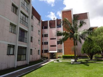 Alugar Apartamento / Padrão em Ponta Grossa R$ 600,00 - Foto 14 Alugar Apartamento / Padrão em Ponta Grossa R$ 600,00 - Foto 14