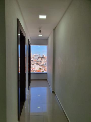 imagem 4 - Lindo Apartamento imagem 4 - Lindo Apartamento