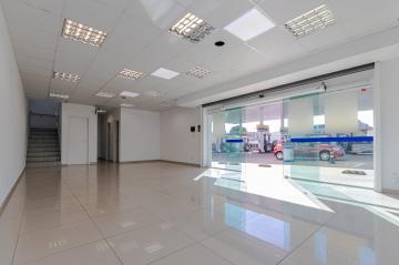 Alugar Comercial / Loja em Ponta Grossa R$ 6.000,00 - Foto 5 Alugar Comercial / Loja em Ponta Grossa R$ 6.000,00 - Foto 5